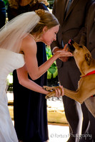 Their dogs were just the cutest!
