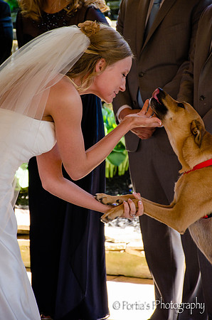 Their dogs were just the cutest!